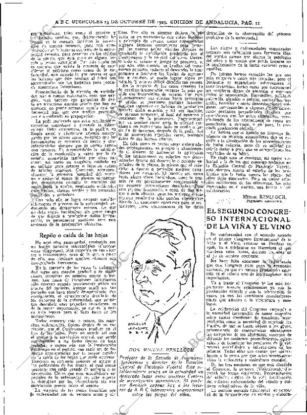 ABC SEVILLA 23-10-1929 página 11