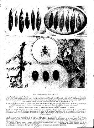 ABC SEVILLA 23-10-1929 página 13