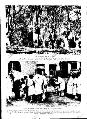 ABC SEVILLA 20-11-1929 página 12