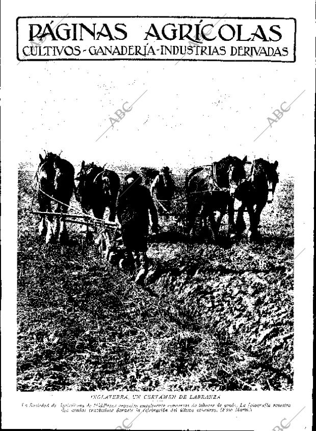 ABC SEVILLA 20-11-1929 página 9