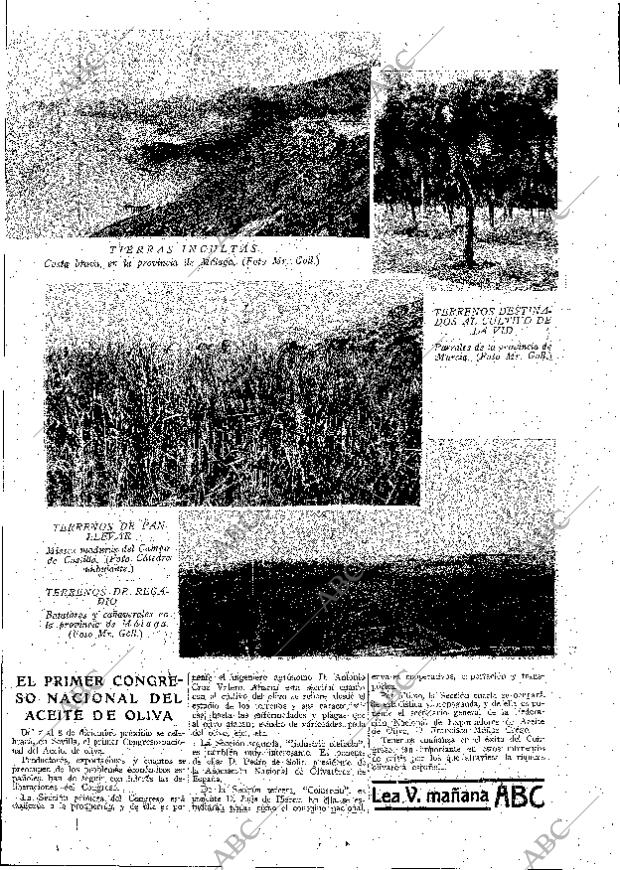 ABC MADRID 30-11-1929 página 13