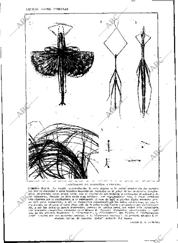 BLANCO Y NEGRO MADRID 15-12-1929 página 24