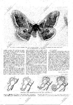 ABC MADRID 22-12-1929 página 13