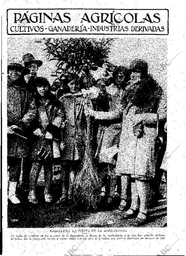 ABC MADRID 28-12-1929 página 9