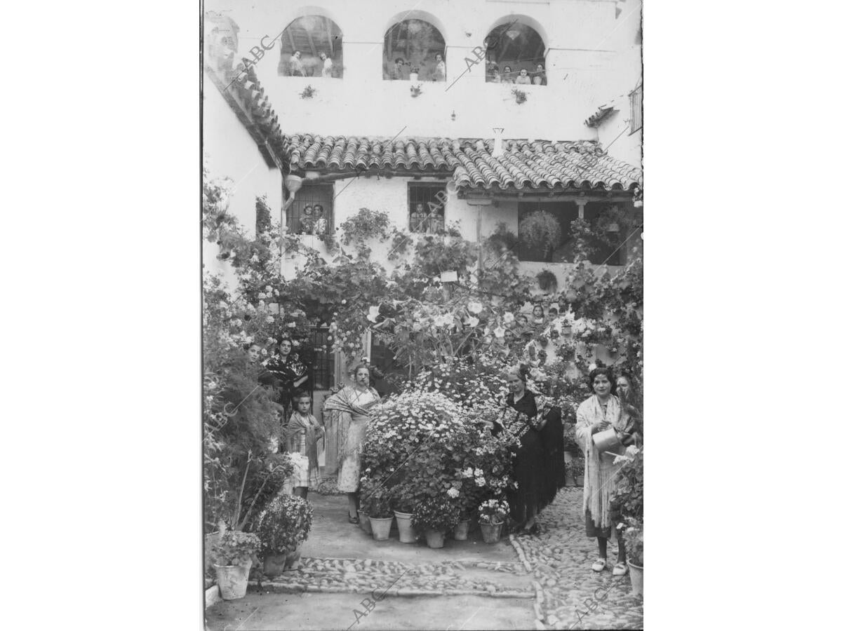 Primer premio Concedido al patio de la calle Badanas, número 15 Archivo ABC