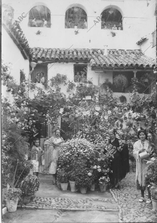 Primer premio Concedido al patio de la calle Badanas, número 15 Archivo ABC