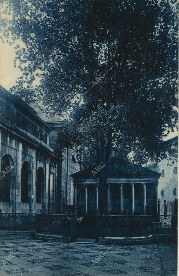 El nuevo árbol de Guernica junto al templo de su fuero Archivo ABC