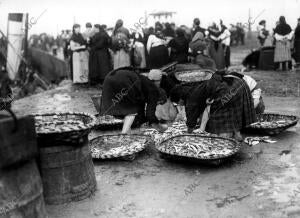 Mujeres preparando las lonjas del pescado en el puerto de la Ribera del Berbés