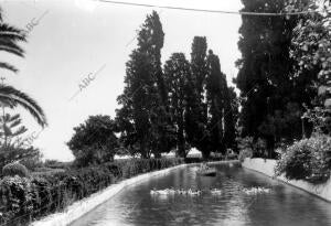 Estanque grande de la finca el retiro en Churriana (Málaga)