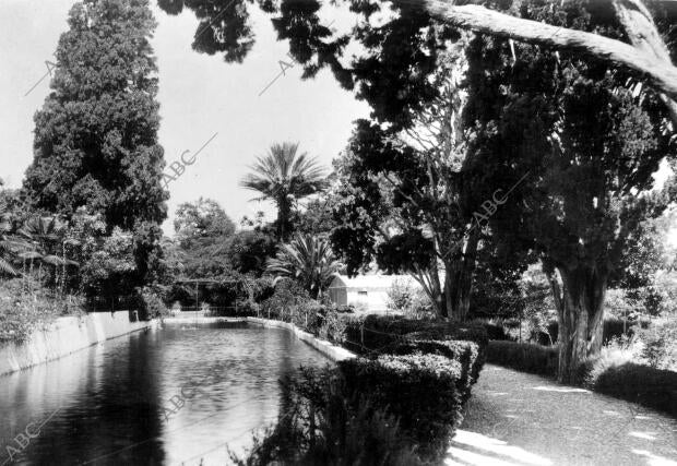 Estanque de los Jardines de la Firma "el Retiro" en Curriana (Málaga)