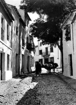 Una calle Típica del pueblo de Ronda (Málaga)