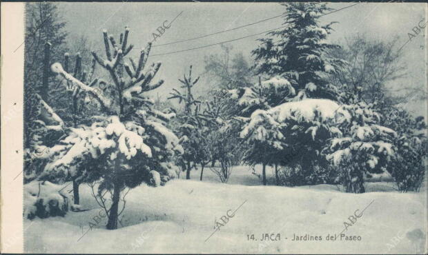 Jaca. Jardines Nevados del Paseo