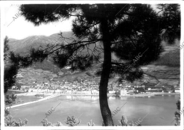 Vista general de la localidad de vivero