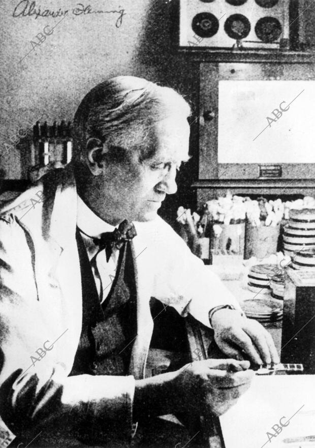 Fotografía tomada por el profesor Bustiza A Sir Alexander Fleming, en una de las...