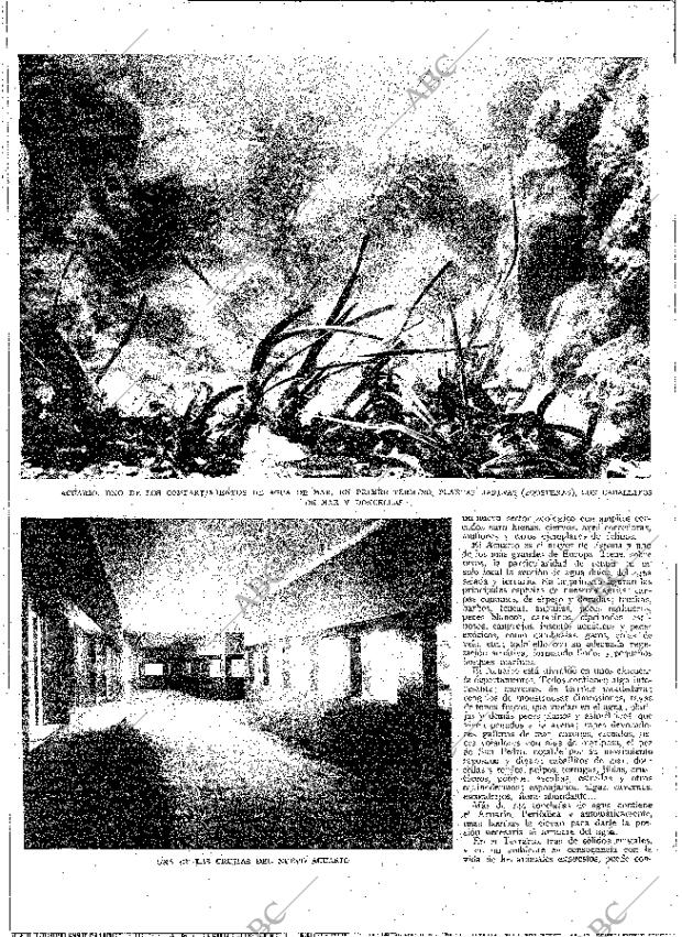ABC MADRID 12-01-1930 página 4
