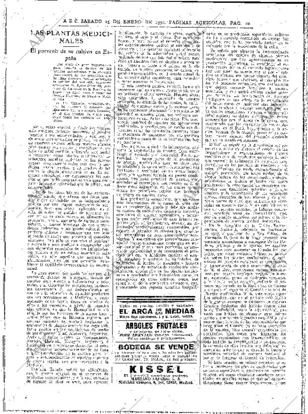 ABC MADRID 25-01-1930 página 10