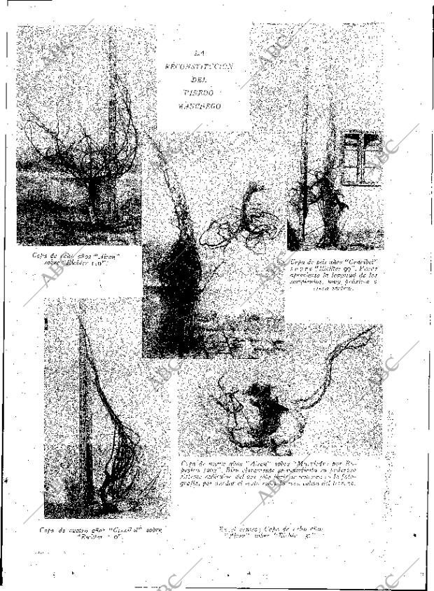 ABC MADRID 08-02-1930 página 13