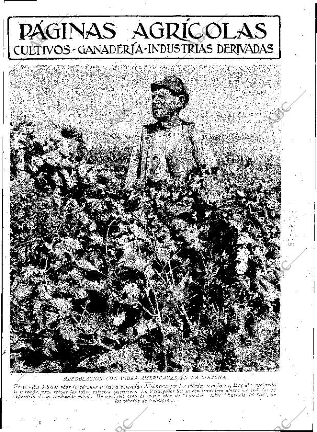 ABC MADRID 08-02-1930 página 9