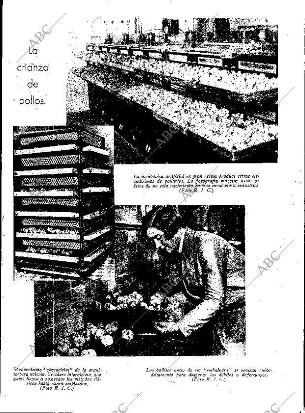 ABC SEVILLA 26-02-1930 página 13