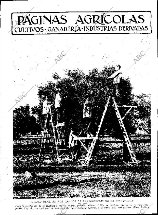 ABC SEVILLA 05-04-1930 página 9