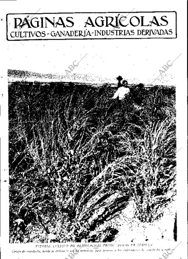 ABC SEVILLA 19-04-1930 página 9