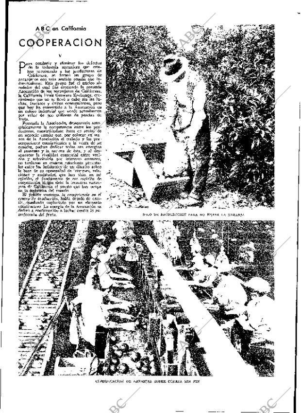 ABC MADRID 20-04-1930 página 19