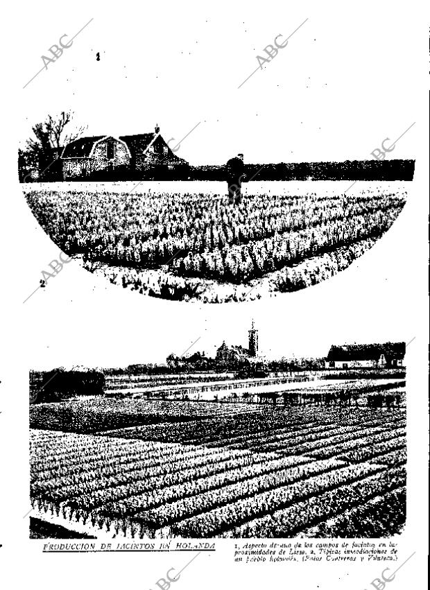 ABC SEVILLA 03-05-1930 página 13