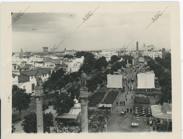 Cine de verano en la Alameda de Hércules
