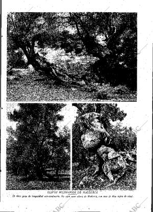 ABC MADRID 07-06-1930 página 13