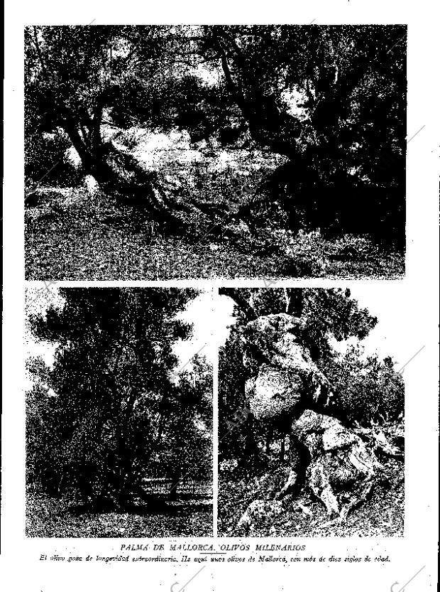 ABC SEVILLA 07-06-1930 página 13