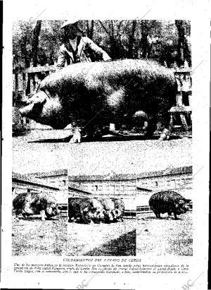 ABC MADRID 14-06-1930 página 13