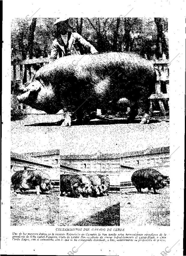 ABC MADRID 14-06-1930 página 13