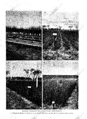 ABC MADRID 21-06-1930 página 13