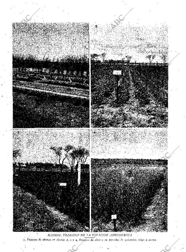 ABC MADRID 21-06-1930 página 13