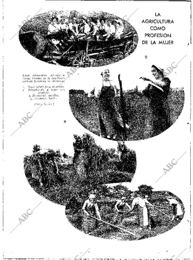 ABC MADRID 02-08-1930 página 12