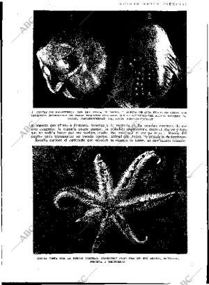 BLANCO Y NEGRO MADRID 03-08-1930 página 17
