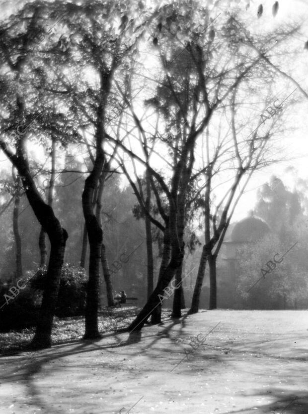 Mañana de otoño en el Retiro