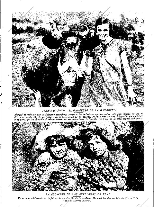 ABC SEVILLA 08-11-1930 página 31