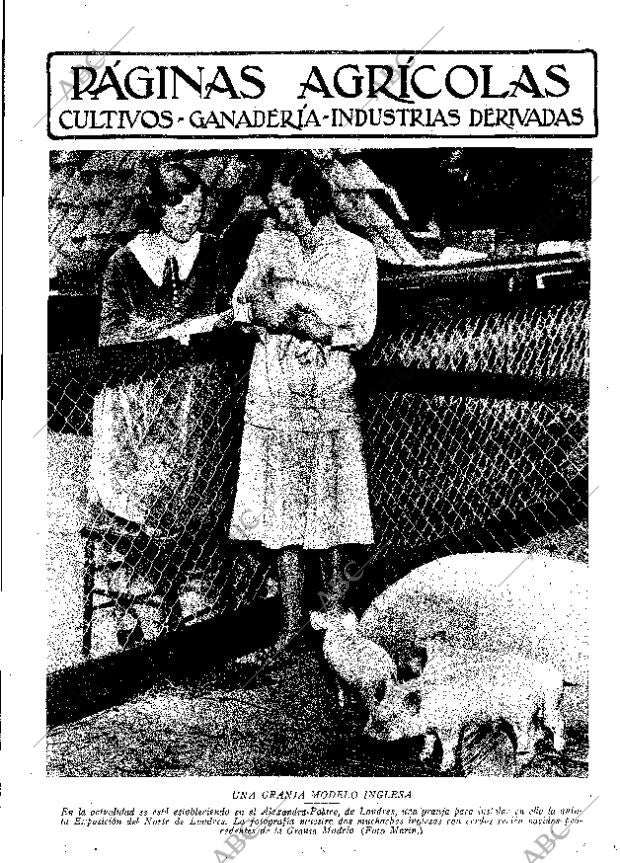 ABC MADRID 22-11-1930 página 9