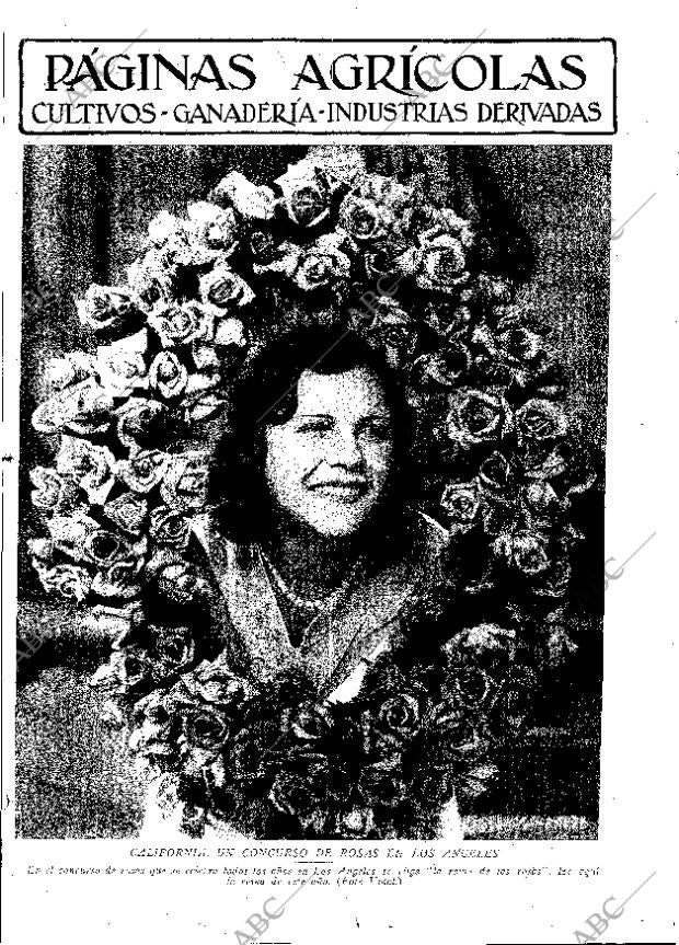 ABC MADRID 13-12-1930 página 11