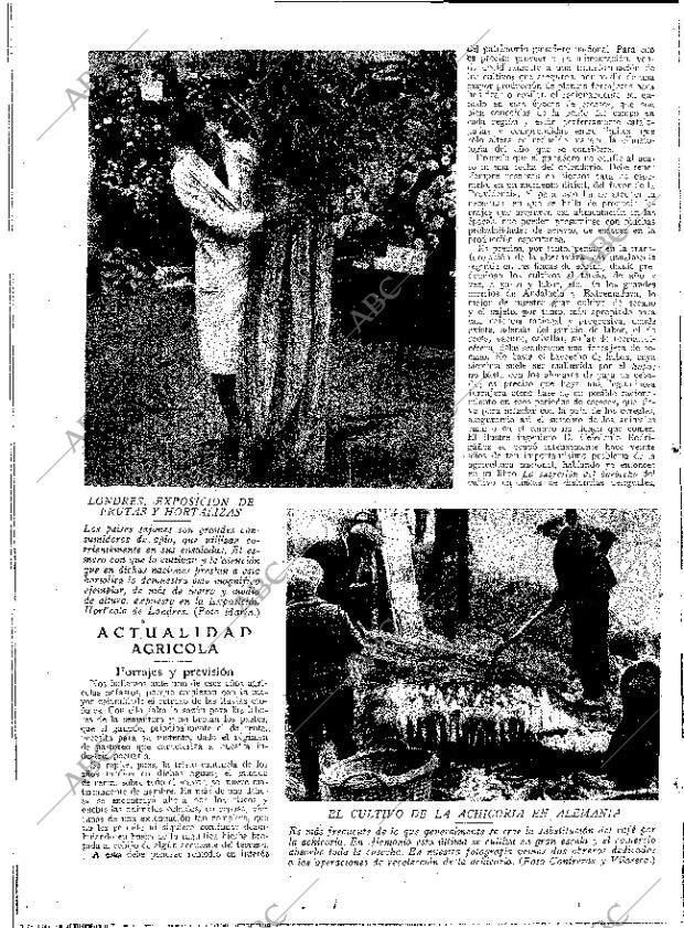 ABC MADRID 13-12-1930 página 12
