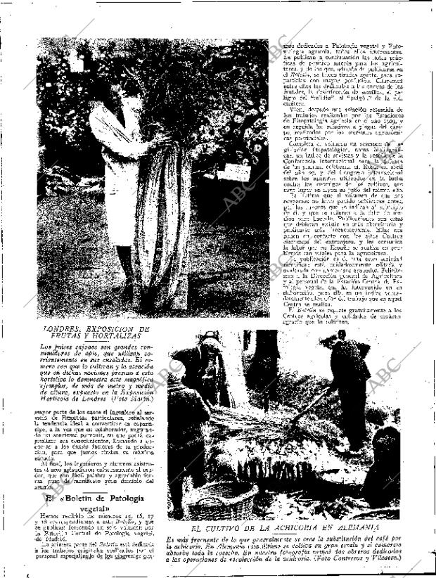 ABC SEVILLA 13-12-1930 página 12