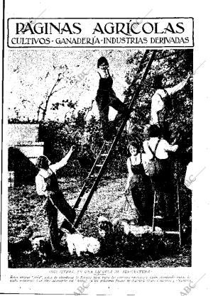 ABC MADRID 20-12-1930 página 11