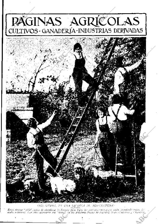 ABC MADRID 20-12-1930 página 11