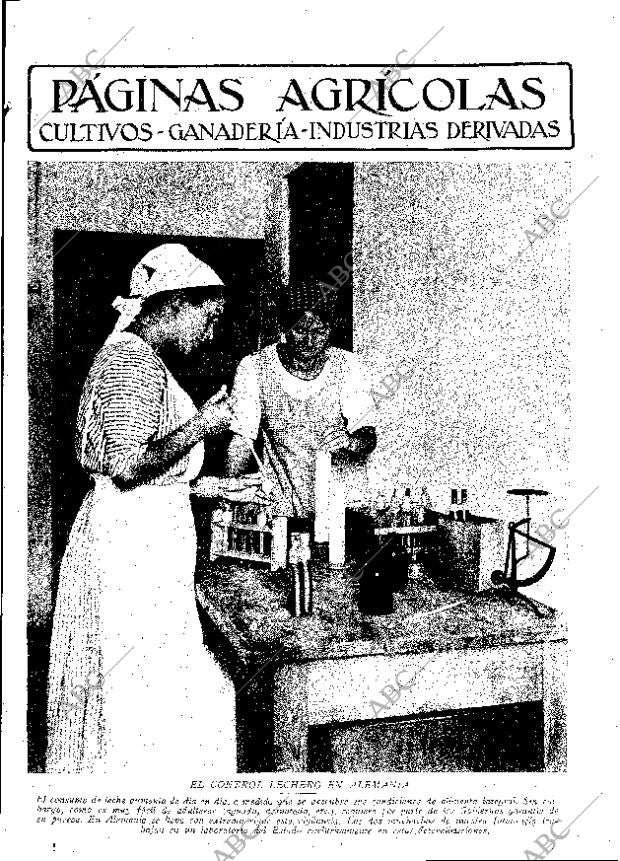 ABC MADRID 27-12-1930 página 11