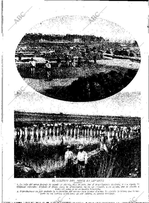 ABC MADRID 27-12-1930 página 14