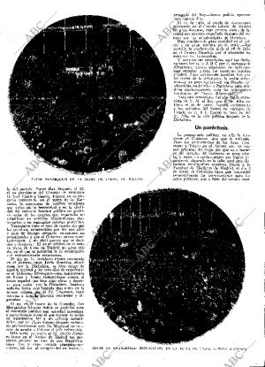 ABC SEVILLA 28-12-1930 página 9