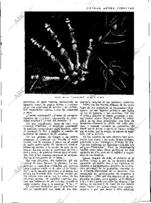 BLANCO Y NEGRO MADRID 28-12-1930 página 19