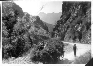 Dos Campesinos por un camino de Oseja de Sajambre entre las Montañas Leonesas