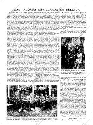 ABC SEVILLA 15-01-1931 página 9
